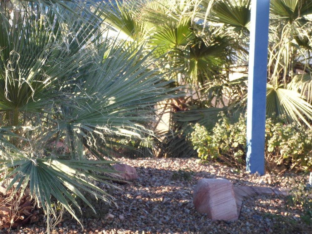 Howard Johnson By Wyndham Las Vegas Near The Strip Eksteriør billede